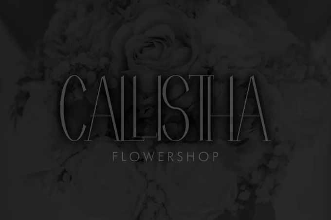 FLATTERS Sans Serif Font - Image 5