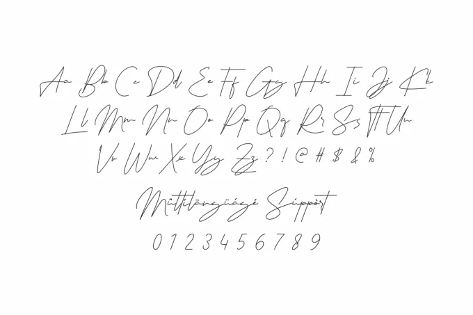 Signaturex Font - Image 4