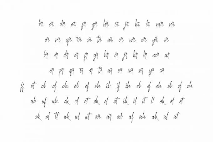 Stockholder Font - Image 5