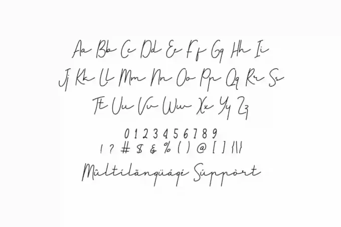 Friendship Goal Signature Font - Image 3
