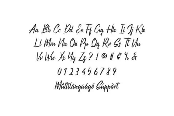 Seattles Brush Font - Image 3