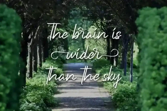 Underlines Handwriting Font - Image 4