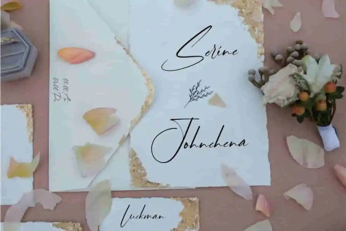 Violety Signature Font - Image 3