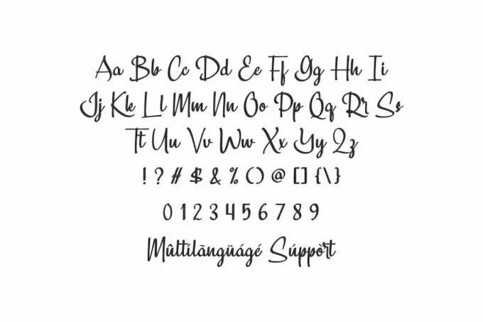 Samosa Font