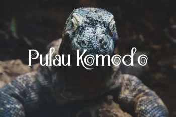 Pulau komodo