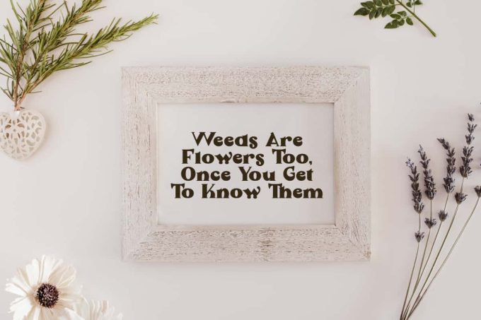 British Flower Font - Image 7