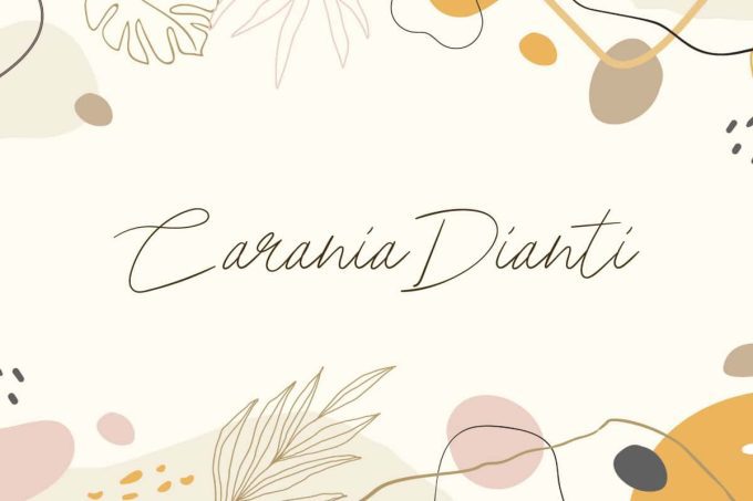 Carania Dianti Font - Image 9