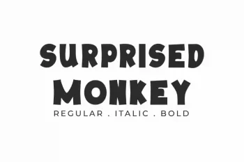 Surprised Monkey